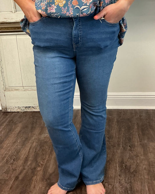 YMI High-Rise Bootcut Jean