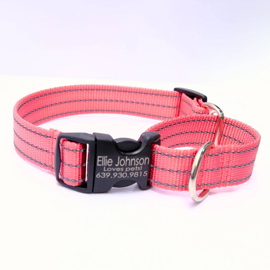 Reflective Nylon Loop Dog Collar