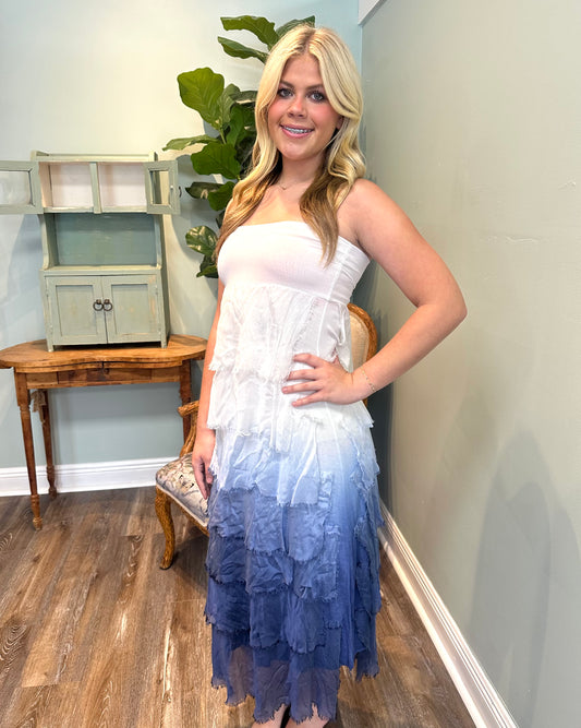 Silk Ombre Ruffle Dress/Skirt