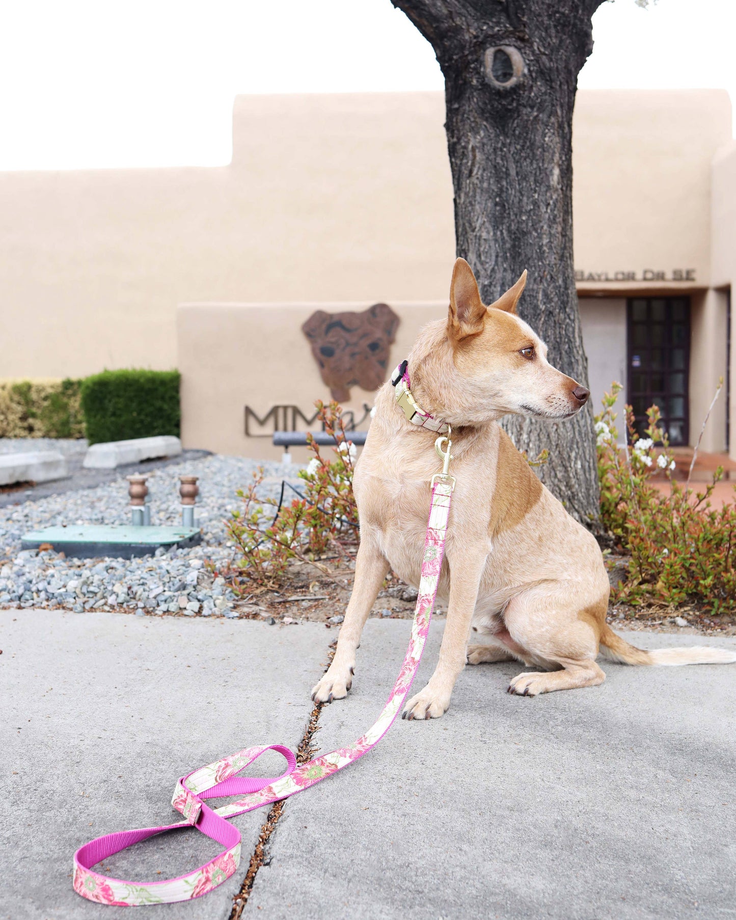"Audrey" Floral Voile Dog Collar