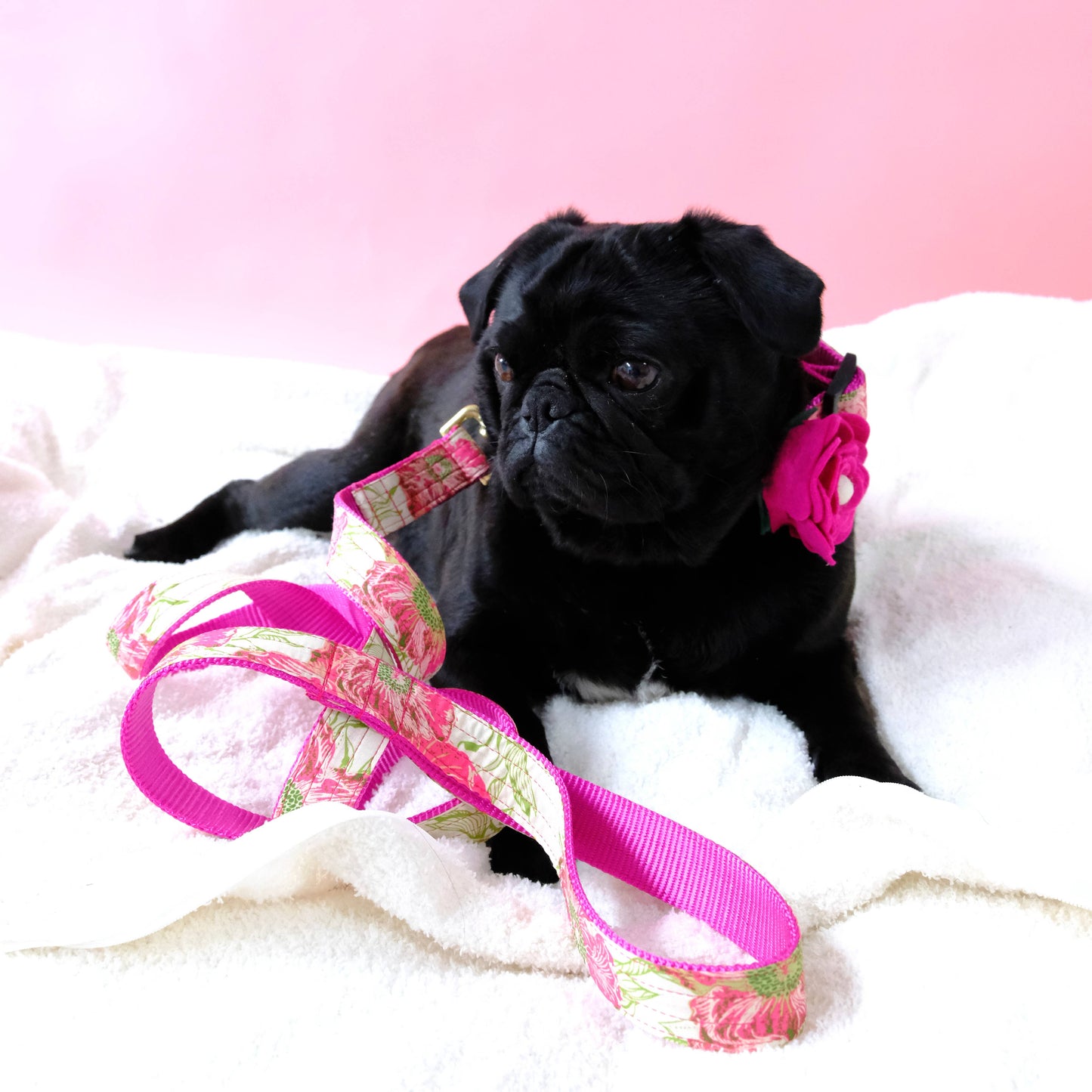 "Audrey" Floral Voile Dog Collar