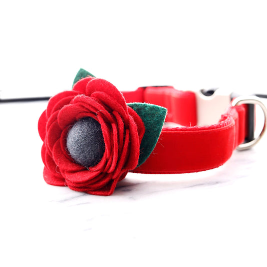 Poppy Dog Collar Flower