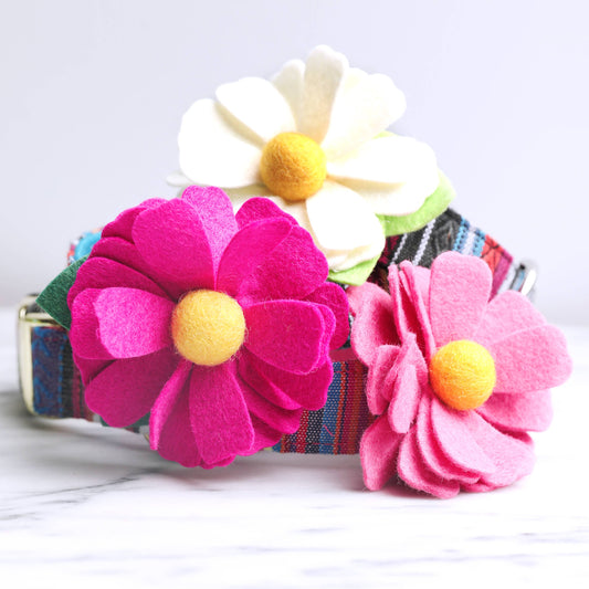 Daisy Collar Accessory