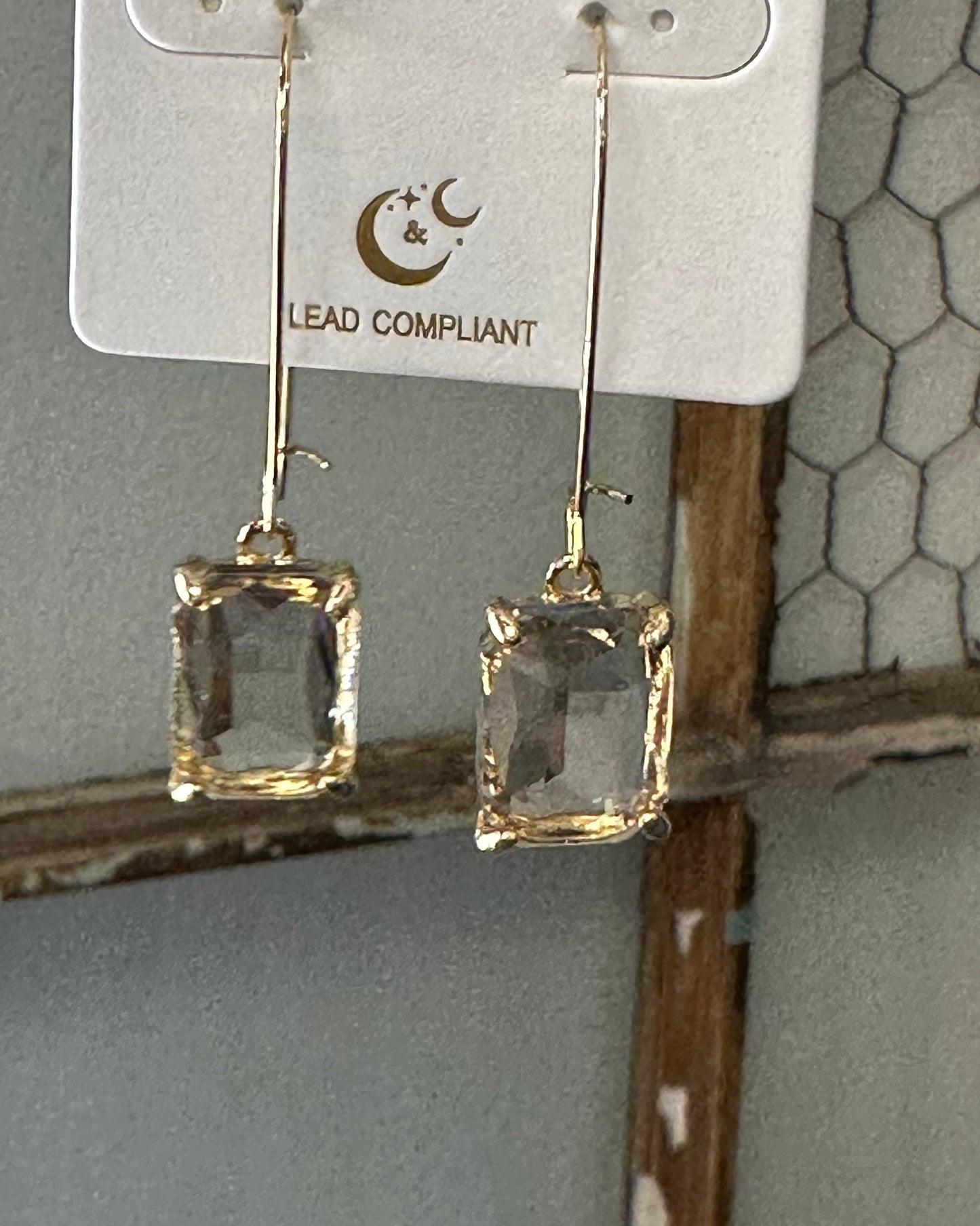 Drop Jewel Earrings
