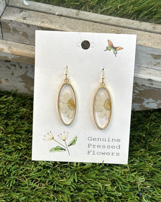Delicate Daisy Dried Flower Earring
