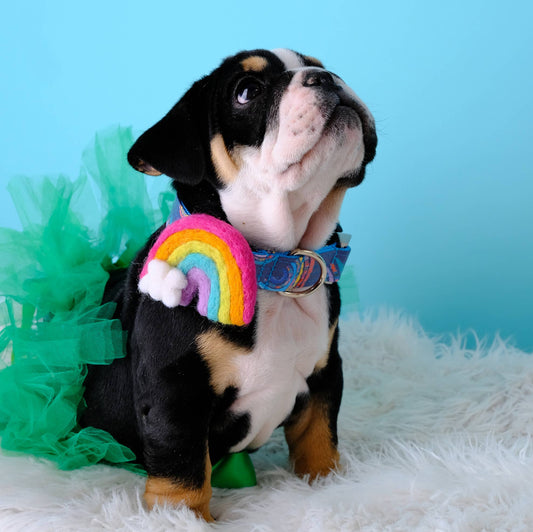 Rainbow Dog Collar Accessory (4 Colors) - Pride