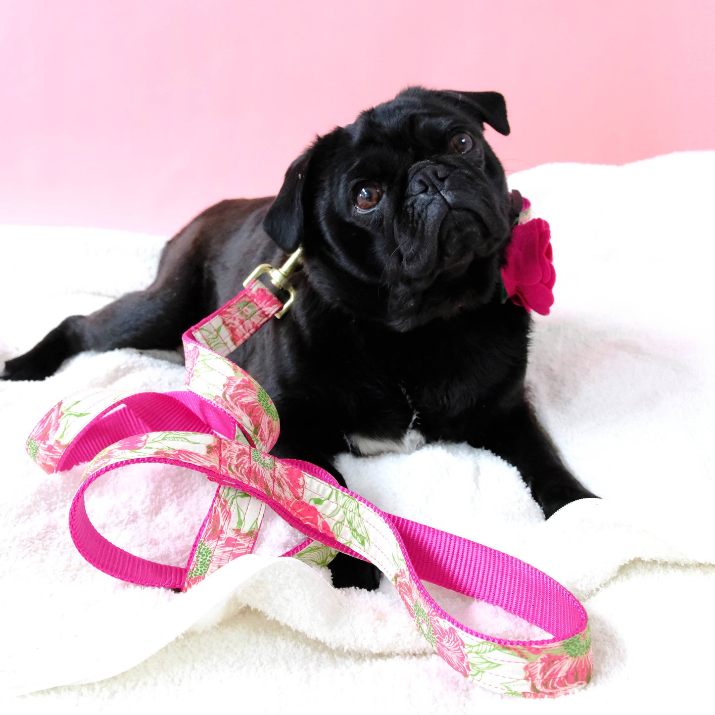 "Audrey" Floral Voile Dog Collar