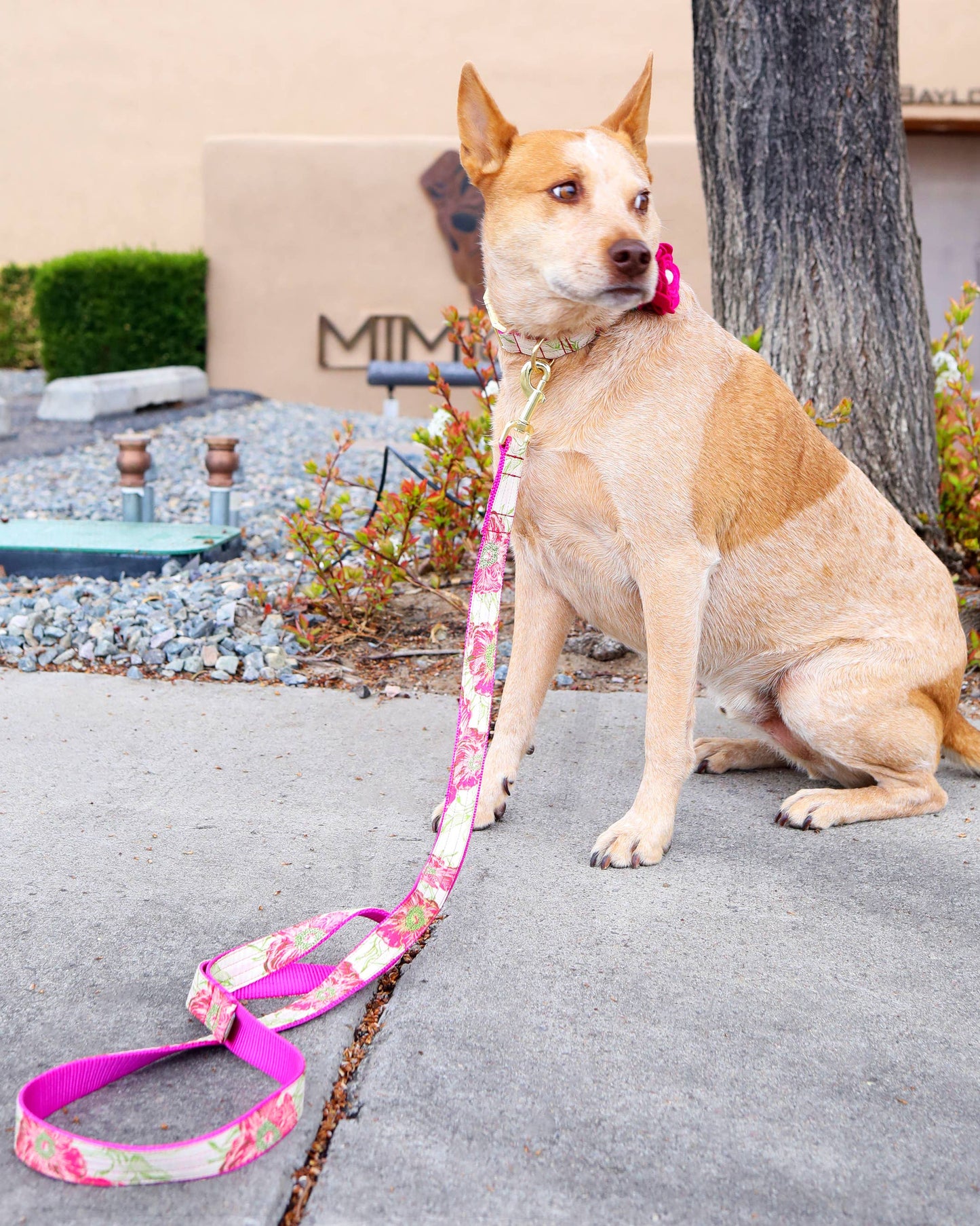 Magnolia Flower Dog Collar Accessory - Pink