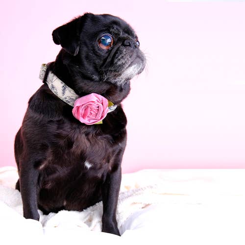 Velvet Rose Dog Collar Flower Accessory – 32 Colors!